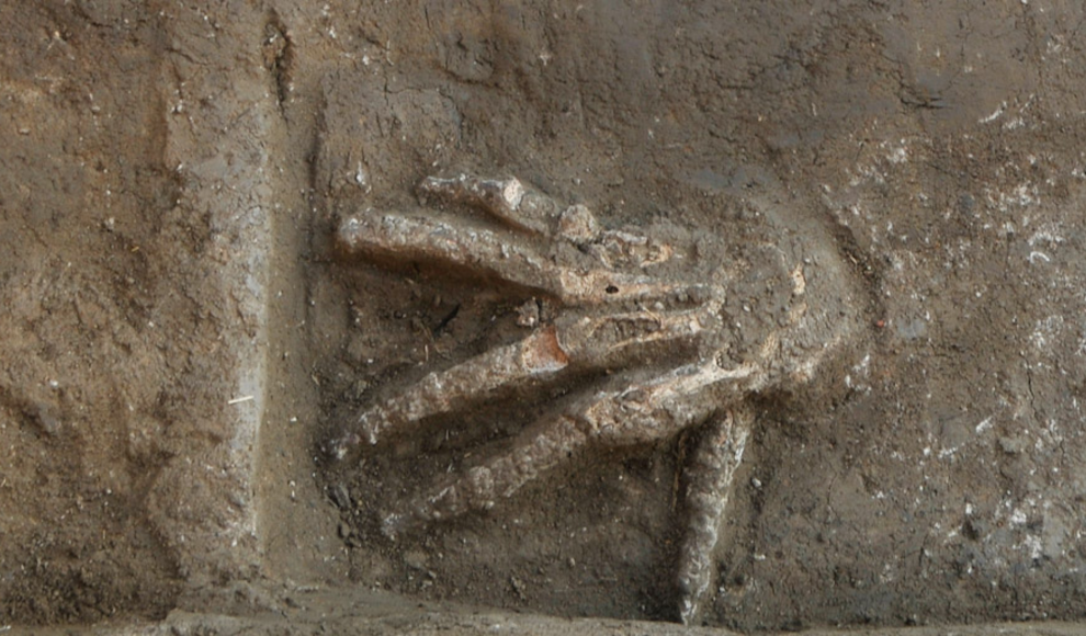 Abgehackte Hände aus einer Palastruine aus der Hyksoszeit  