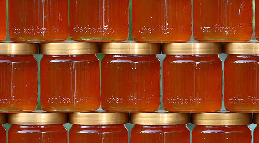 Neuseeländischer Honig Gegen Bakterien