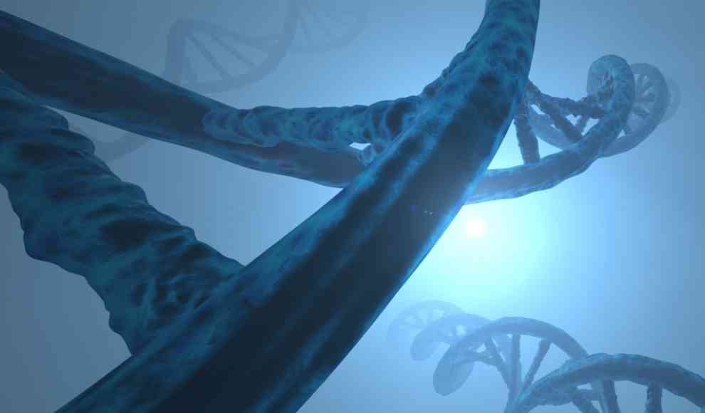Mutation des ALK-Gens
