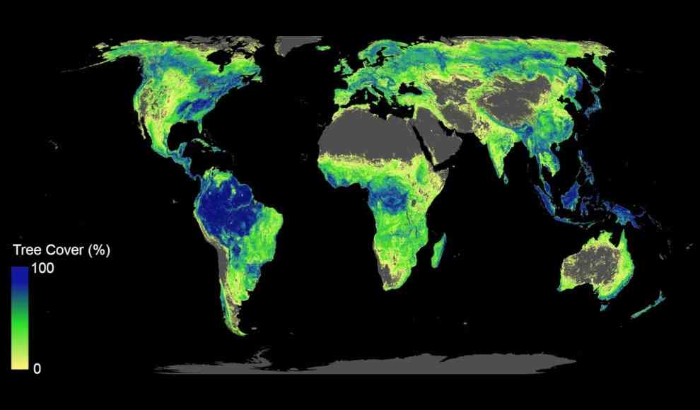 4,4 Milliarden Fläche, die gute Lebensbedingungen für Wälder bieten